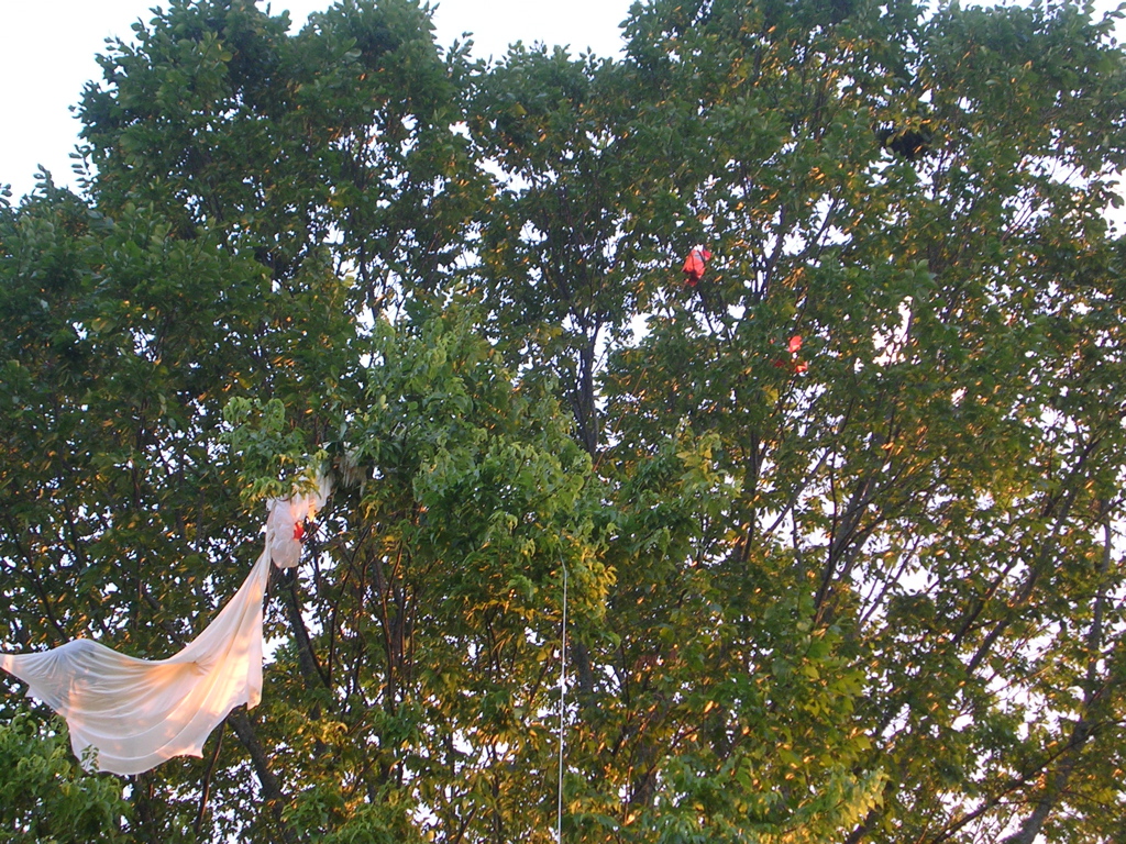 DSCN1537.JPG