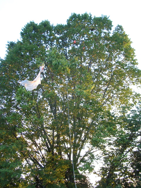 DSCN0002.JPG