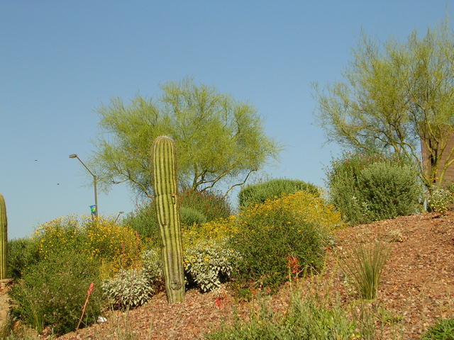 DSCN0598.JPG