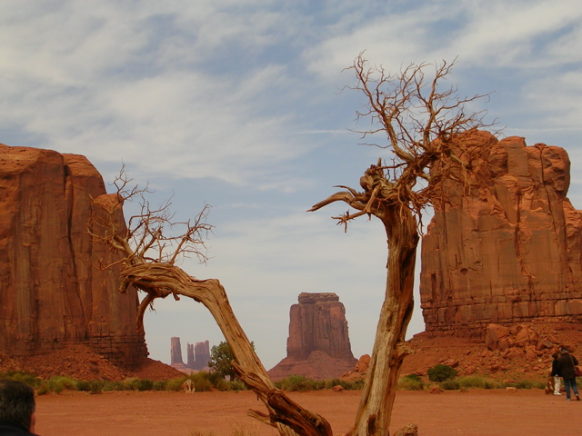 DSCN0701.JPG