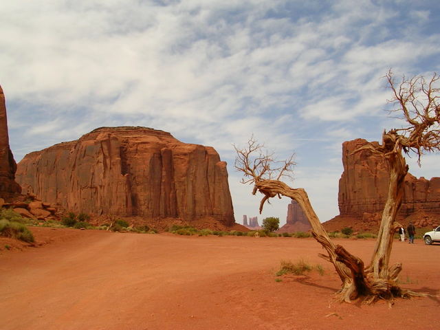 DSCN0702.JPG
