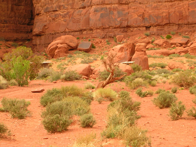 DSCN0706.JPG