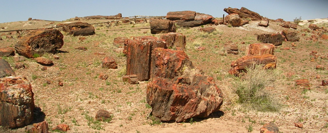 DSCN0715.JPG