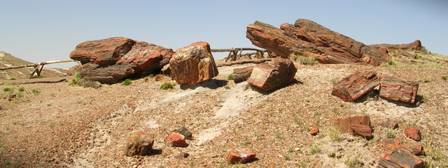DSCN0716.JPG