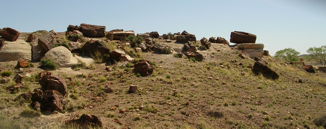 DSCN0717.JPG