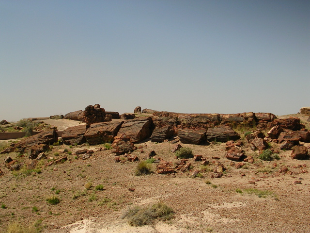 DSCN0720.JPG