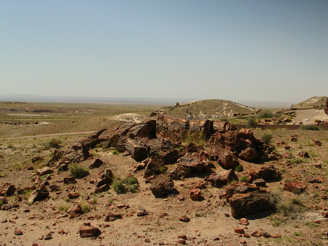DSCN0721.JPG