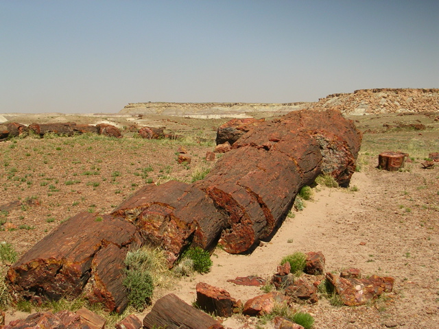 DSCN0722.JPG