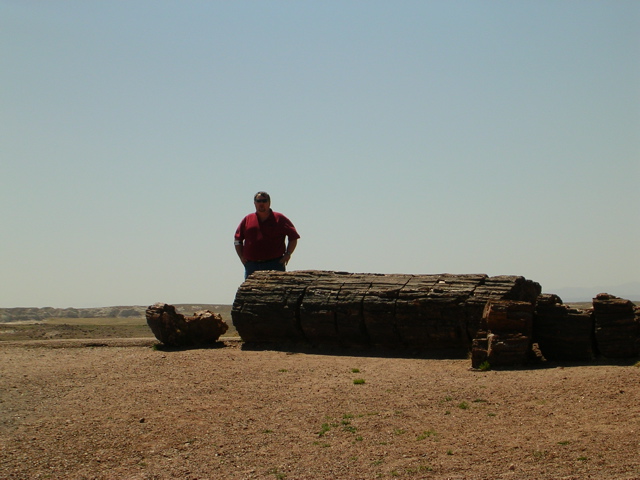 DSCN0725.JPG