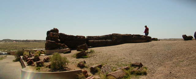 DSCN0726.JPG