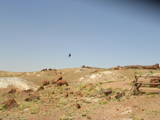DSCN0735.JPG