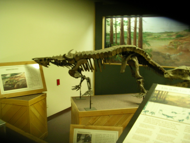 DSCN0739.JPG