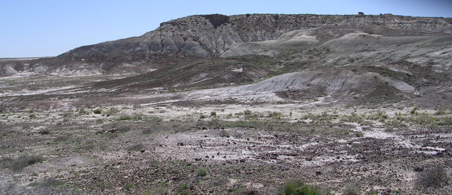 DSCN0002.JPG