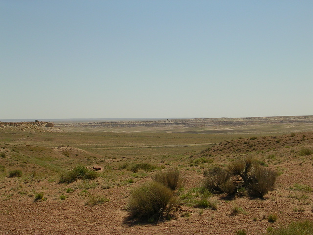 DSCN0752.JPG