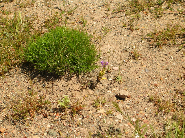 DSCN0754.JPG