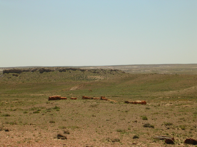 DSCN0756.JPG