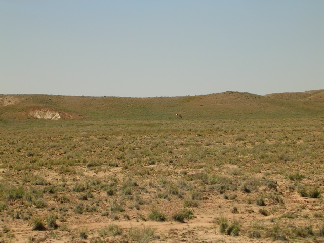 DSCN0757.JPG