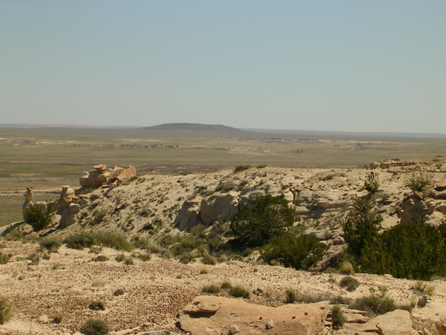DSCN0758.JPG