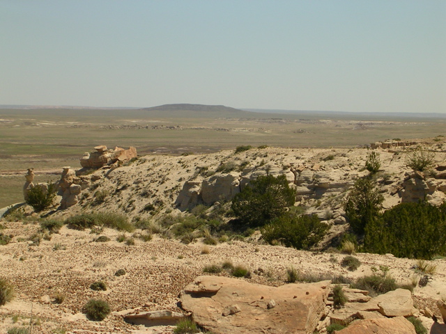 DSCN0759.JPG