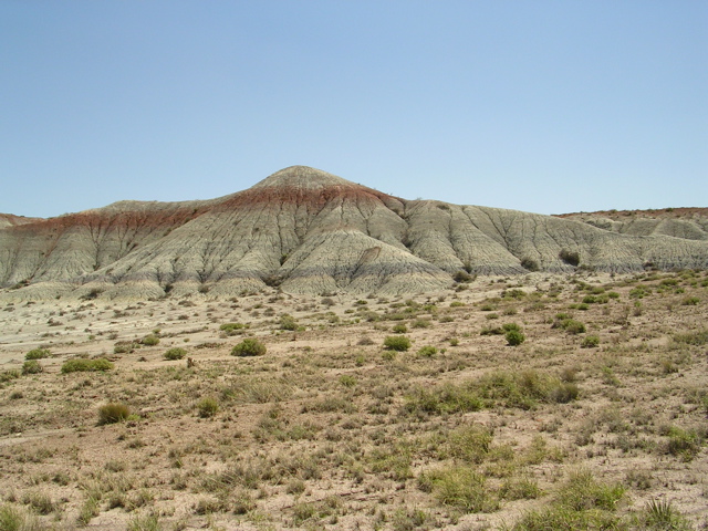 DSCN0763.JPG