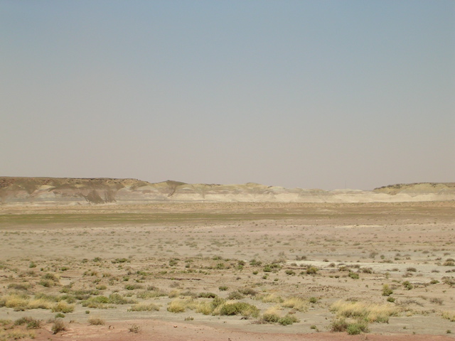 DSCN0767.JPG