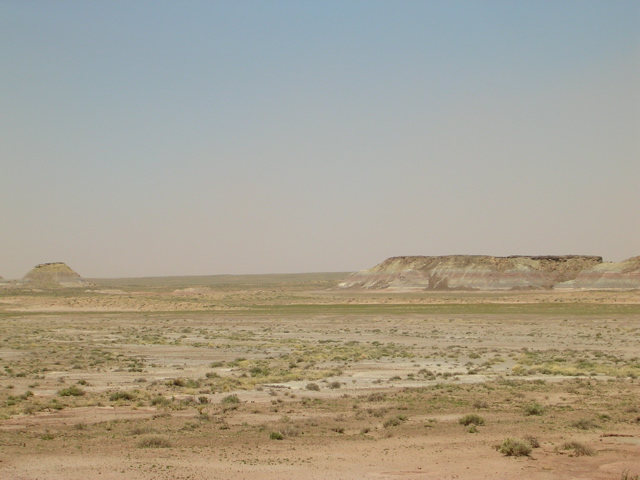 DSCN0768.JPG