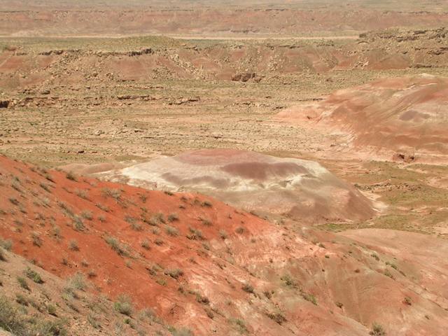 DSCN0776.JPG