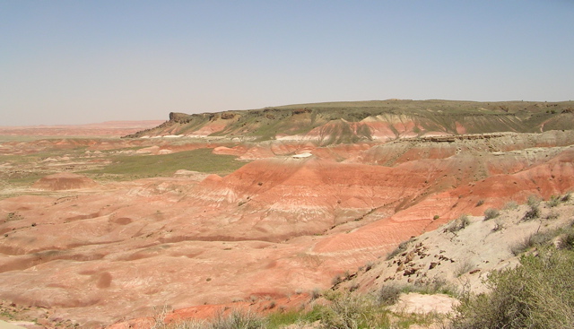 DSCN0779.JPG