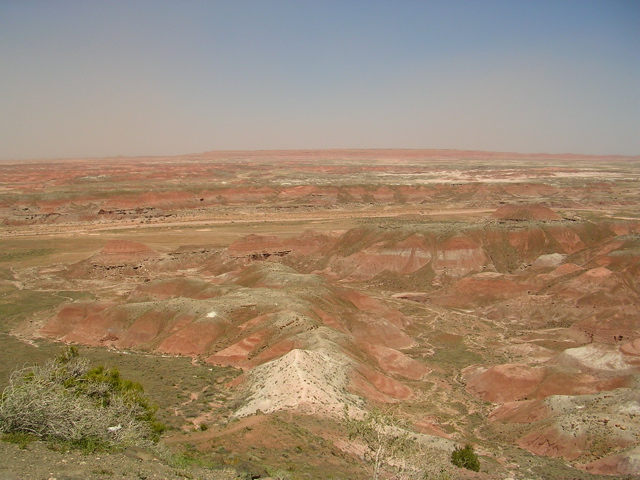 DSCN0795.JPG