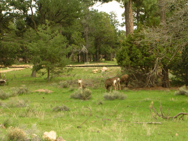 DSCN0833.JPG
