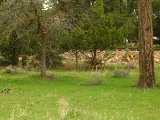 DSCN0834.JPG