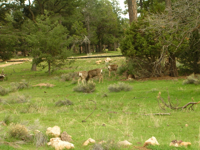 DSCN0835.JPG