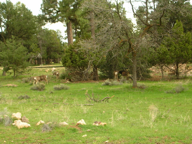 DSCN0836.JPG