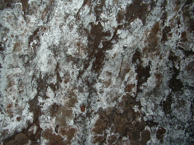 DSCN0838.JPG