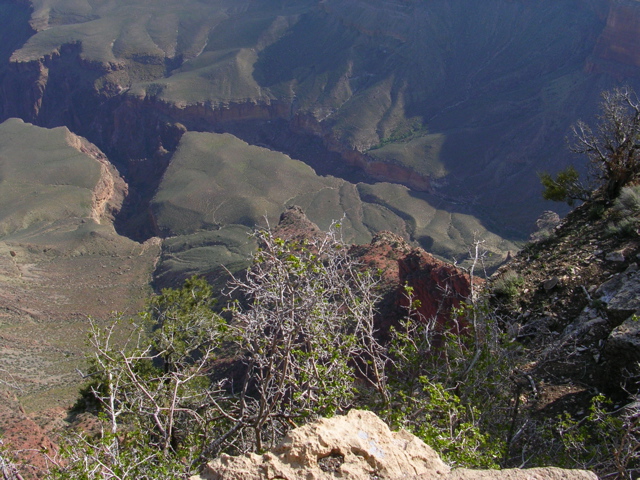 DSCN0635.JPG