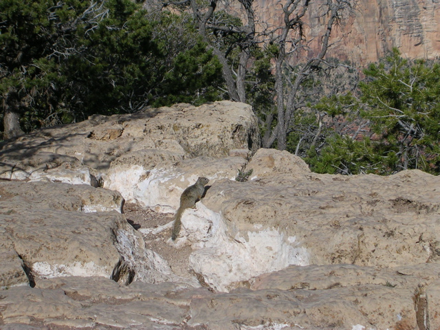 DSCN0637.JPG