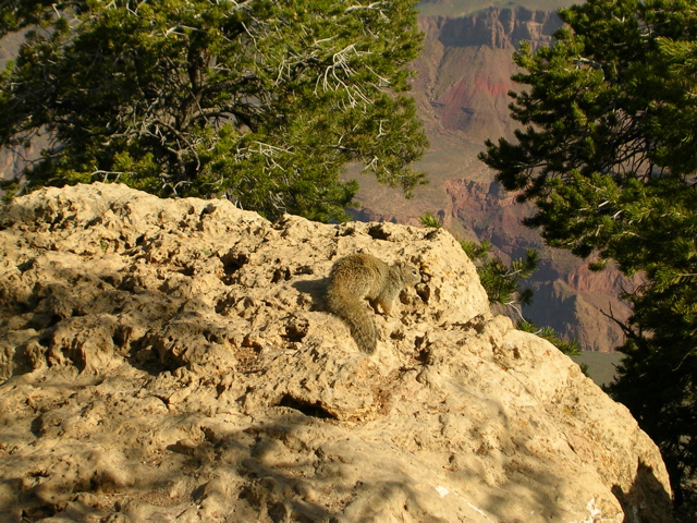 DSCN0638.JPG