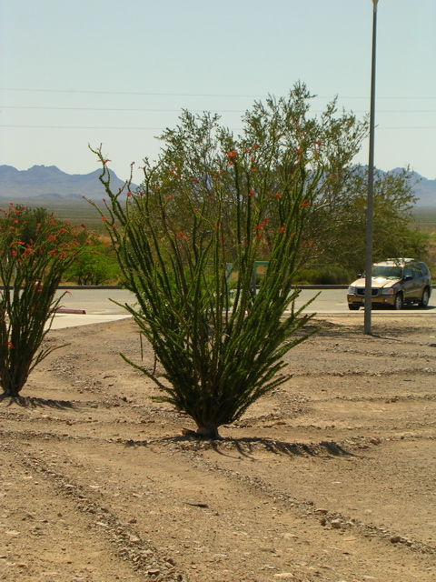 DSCN0891.JPG