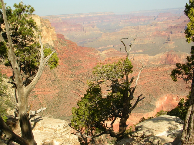 DSCN0645.JPG