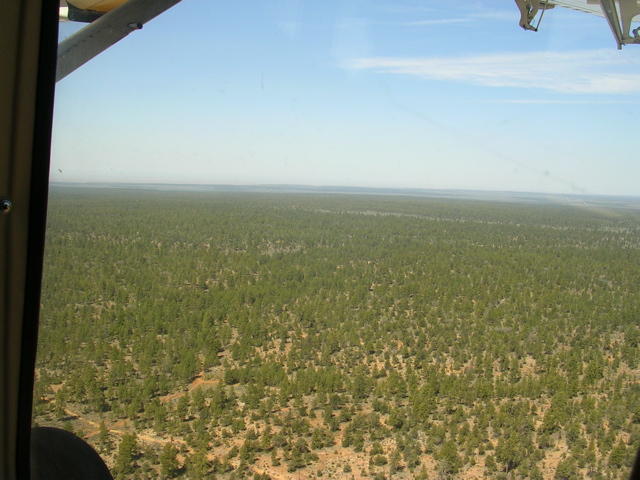 DSCN0655.JPG