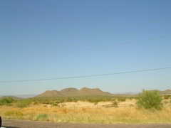 DSCN0597.JPG