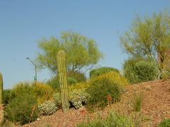 DSCN0598.JPG