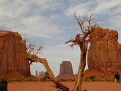 DSCN0701.JPG