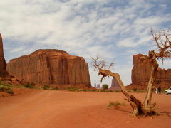 DSCN0702.JPG
