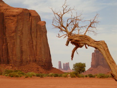 DSCN0703.JPG