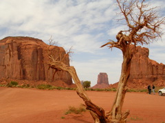 DSCN0704.JPG
