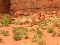 DSCN0706.JPG