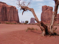 P4181634.JPG