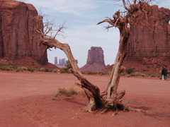 P4181636.JPG
