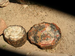 DSCN0711.JPG
